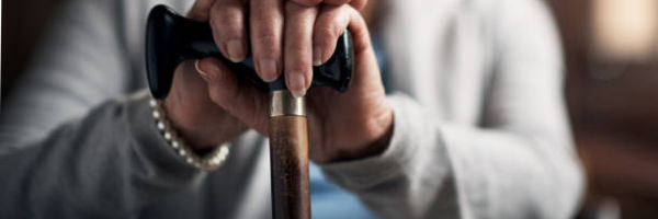 Walking Sticks & Canes