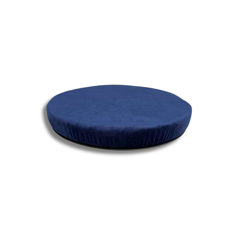 Swivel Cushion (Blue)