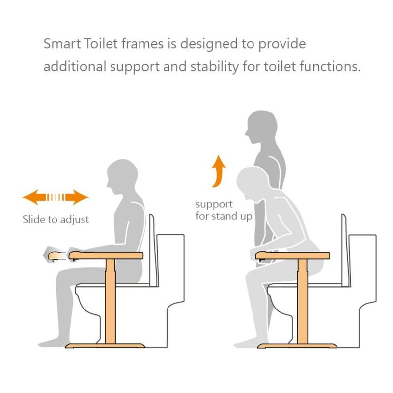 Famica Smart Toilet Frame (support)