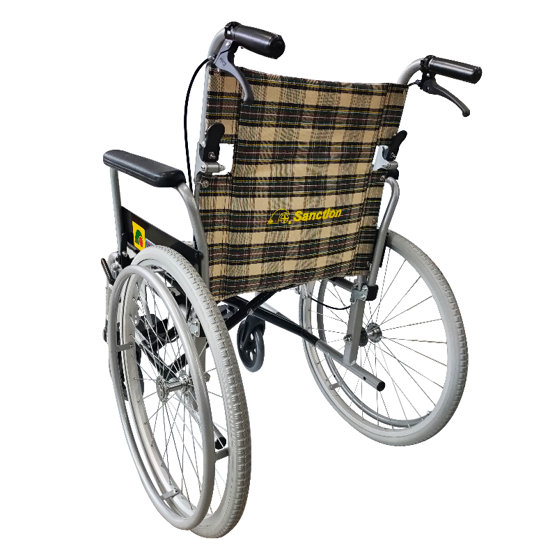 Sanction Detachable Wheelchair rear view