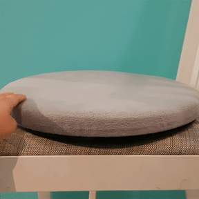 Swivel Cushion (Blue)